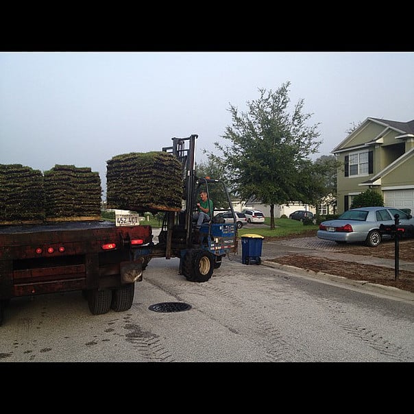 Avatar for WINTER GARDEN GRASSING INC